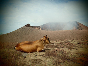 Reserve naturelle du Volcan Massaya