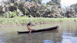 Tour riviere San Juan Nicaragua